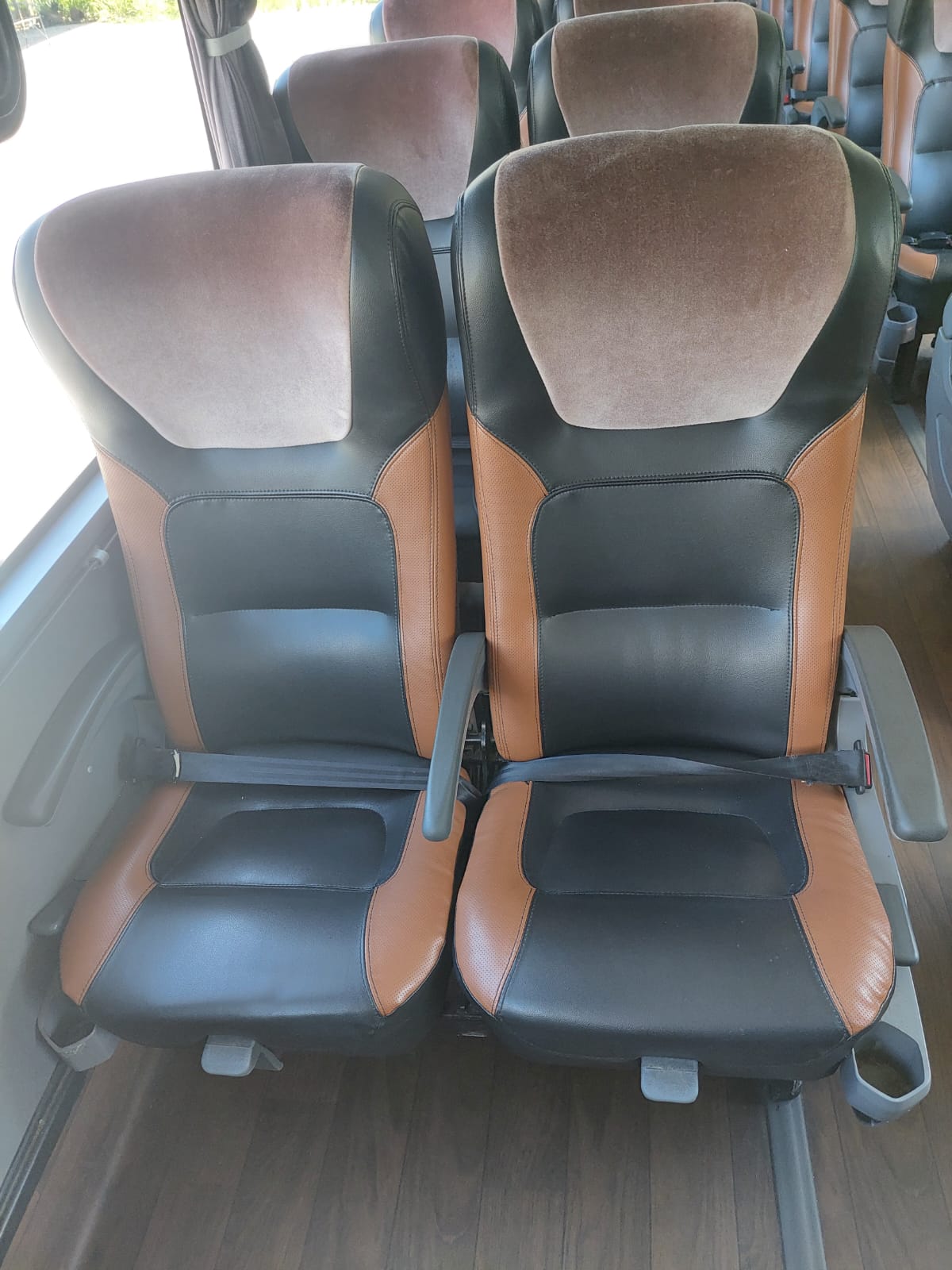 Imagem de SCANIA PARADISO 1800